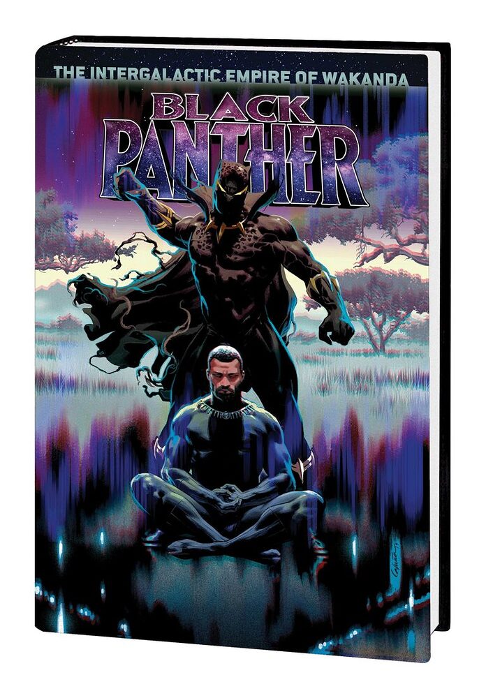 BLACK_PANTHER_VOL_4_P2_HC-scaled