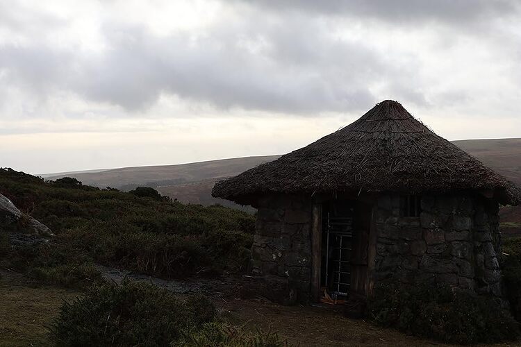 MV5BNTEzY2I2MTEtMTY1ZC00Y2IzLTlhZGMtMmViYmFjZmY1MzBmXkEyXkFqcGc@.V1_FMjpg_UX1000