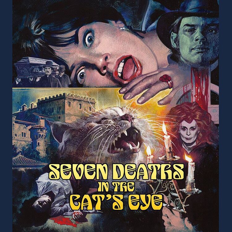 bafkreifca6vfnr4kmwiewp3z6xzdee2yyw3bbcnoflfkbvwacrlndie4ha