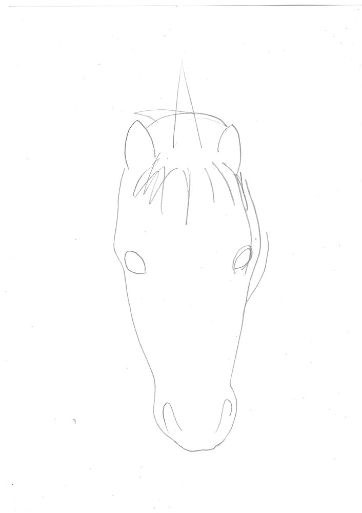 tete de cheval