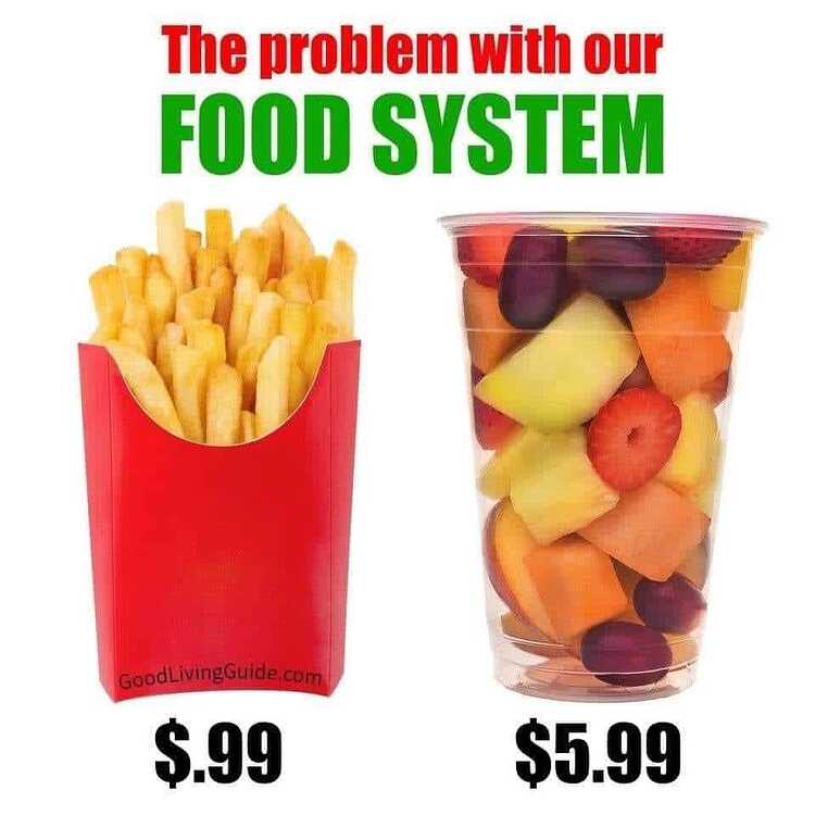 371822080_7454095591284132_7986878453673993103_n