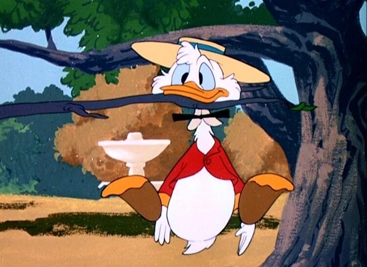 MV5BZjVlZWI1ZDYtYmUxNC00MDlhLWFjMDUtOWYyZWQ2ZDU5OWY1XkEyXkFqcGc@.V1_FMjpg_UX1000