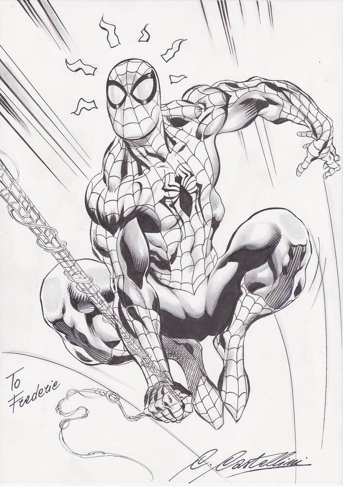 15003253_1677738165889136_1007384982821242848_o