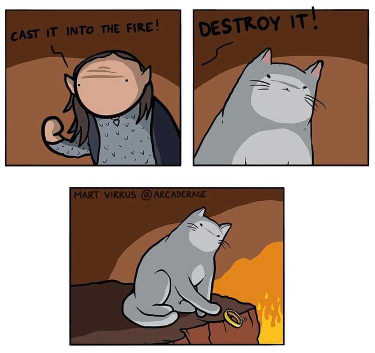 420030174_277899561970439_6063256106584808798_n