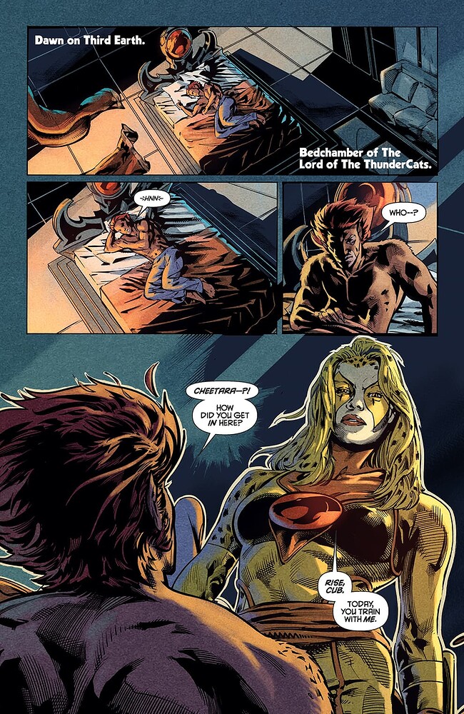 WB-Thundercats-05_Page_1