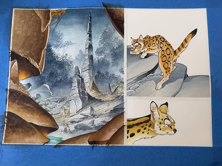 575195724_1443011701160928_3779201015529425388_n