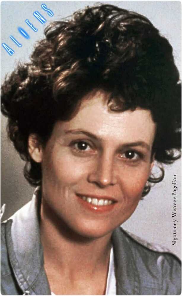 368254078_708529111286634_5126666742986004721_n