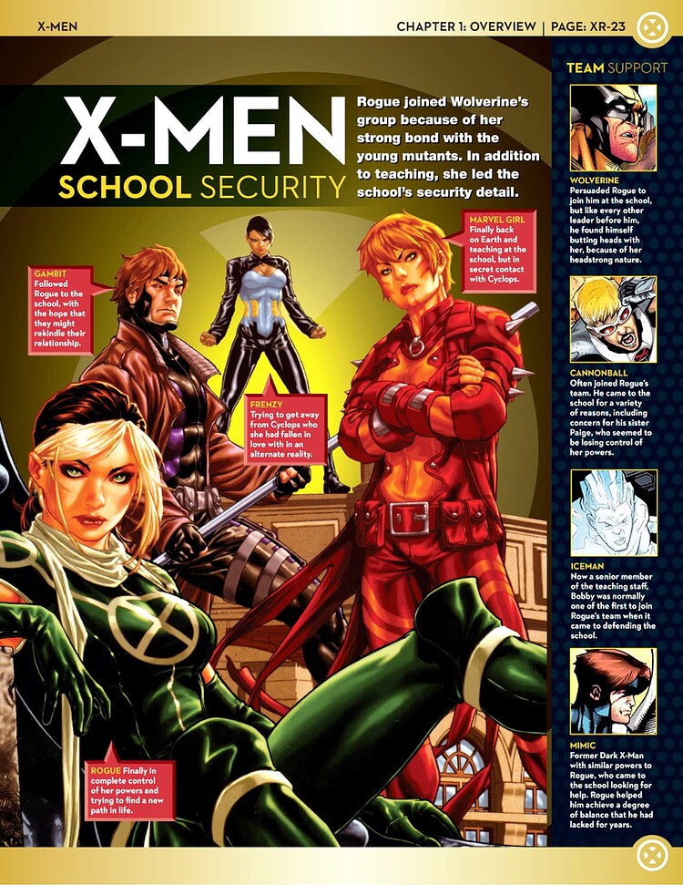 45 X-Men School Security