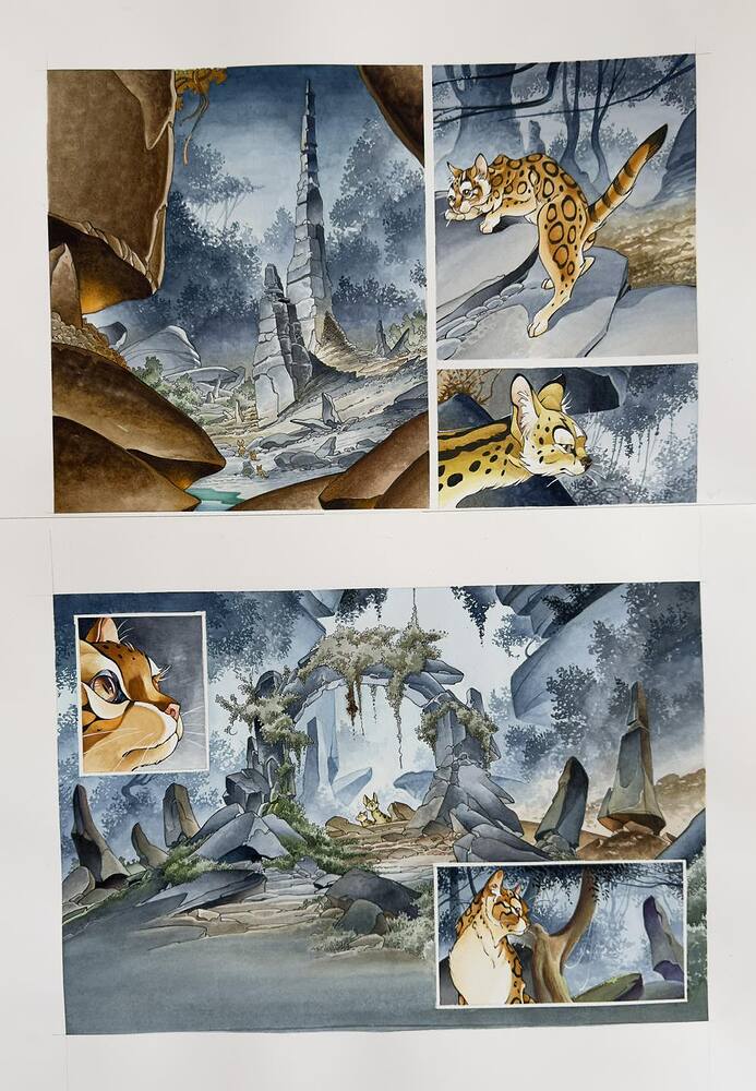 583047910_1449549957173769_7849276999732298809_n