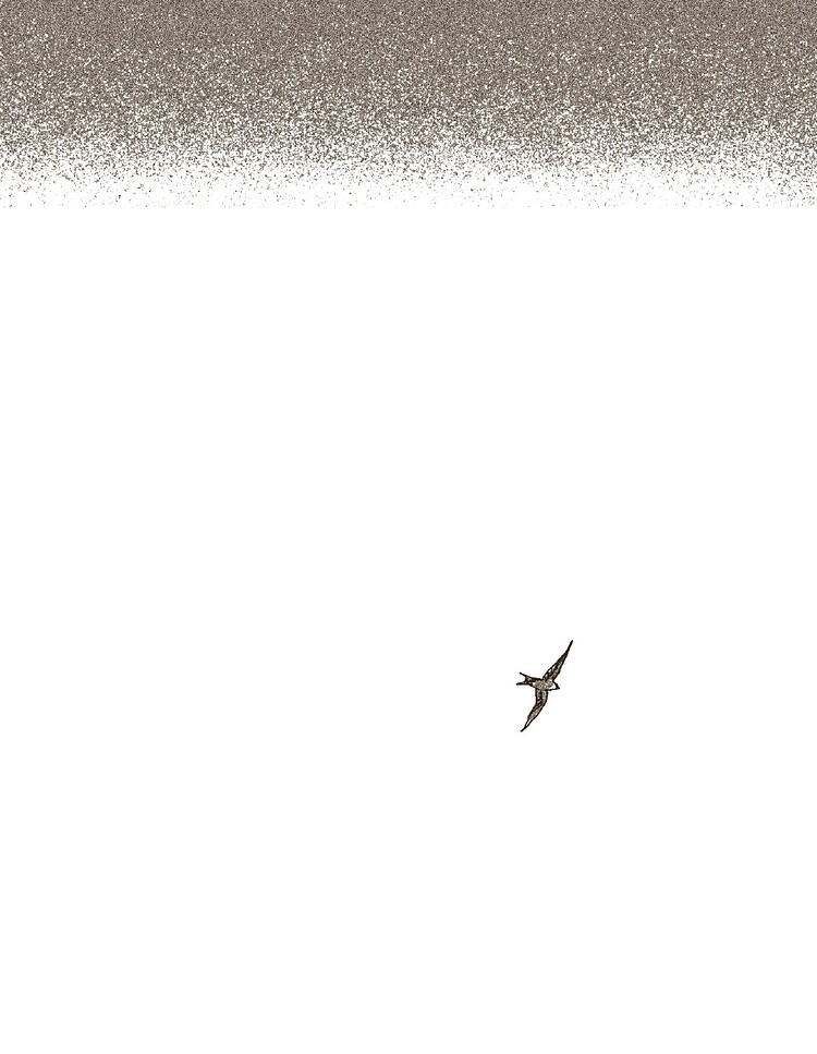 4842_P20