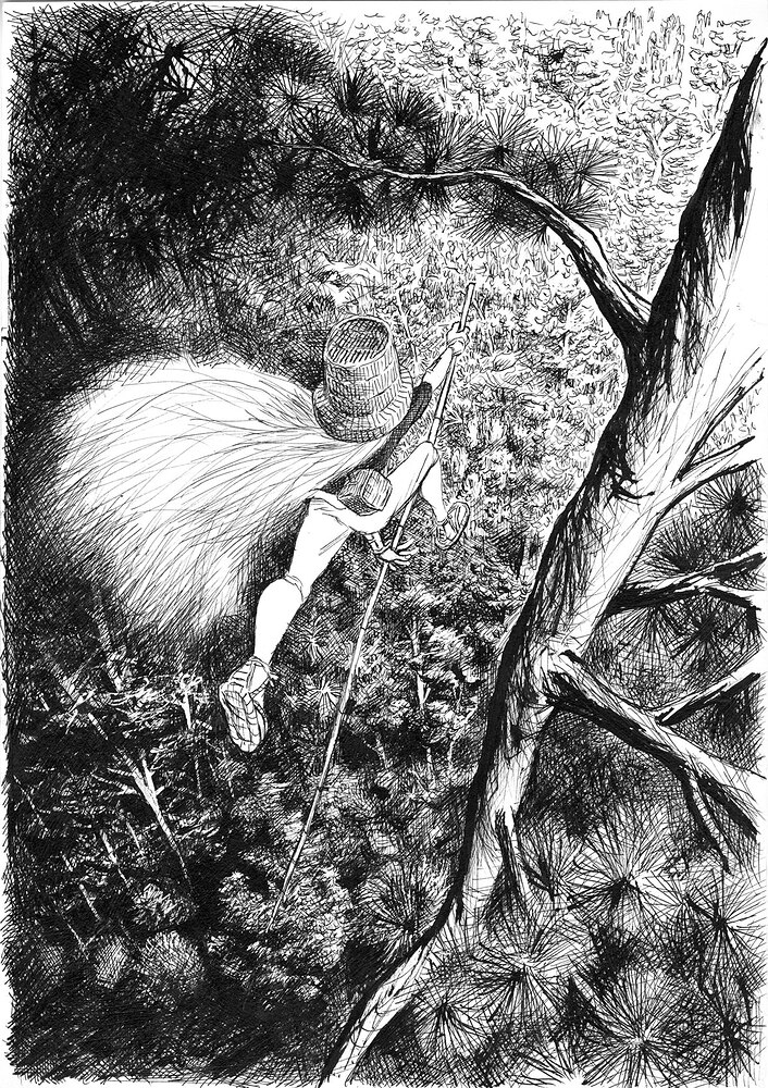 503475516_1355855976157354_8667840745451383548_n