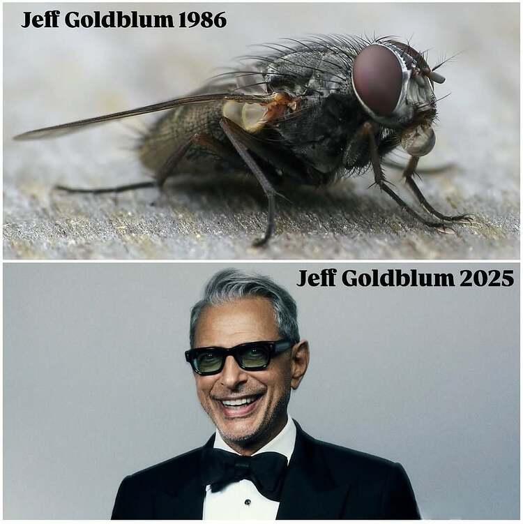 556109682_1357661692386271_5269338038761876707_n