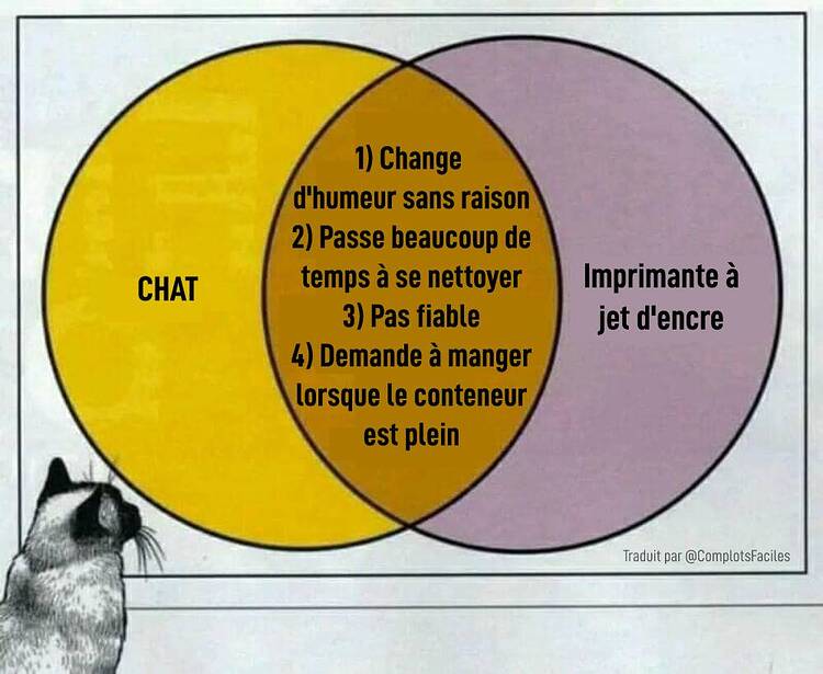 499475021_1097856019035156_6532328331896173289_n