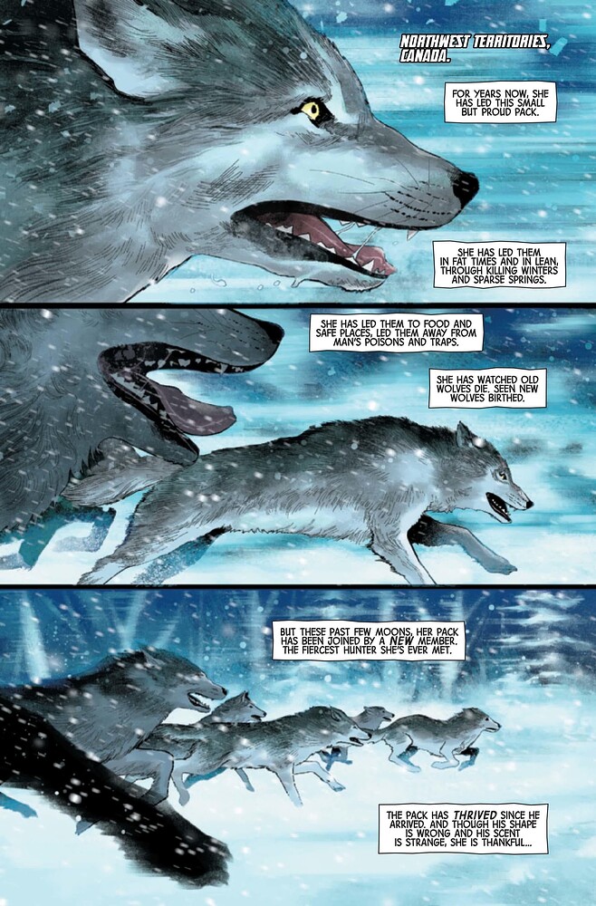 wolv2024001-preview-2