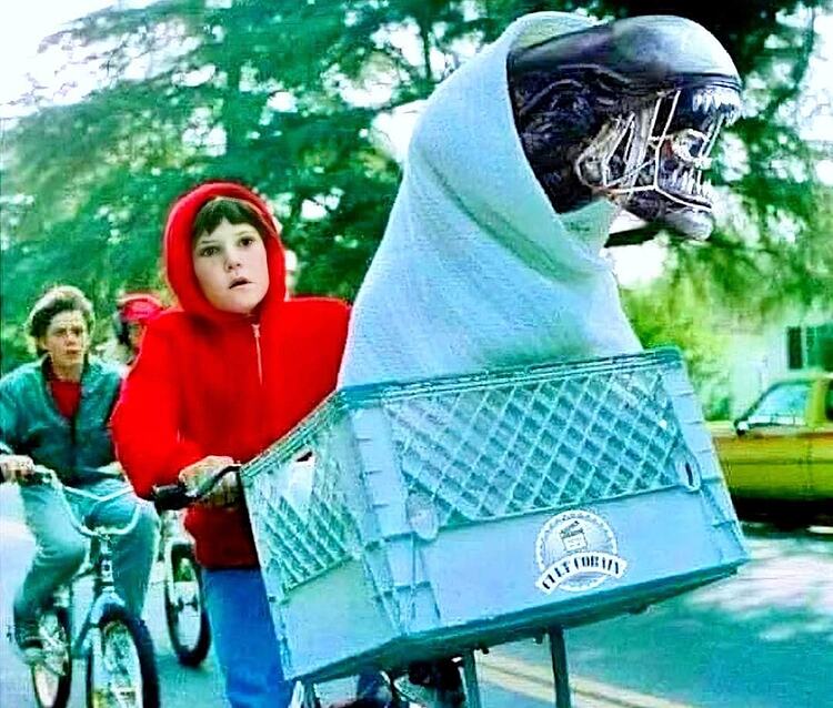 369363189_987546252390713_547911454072636086_n