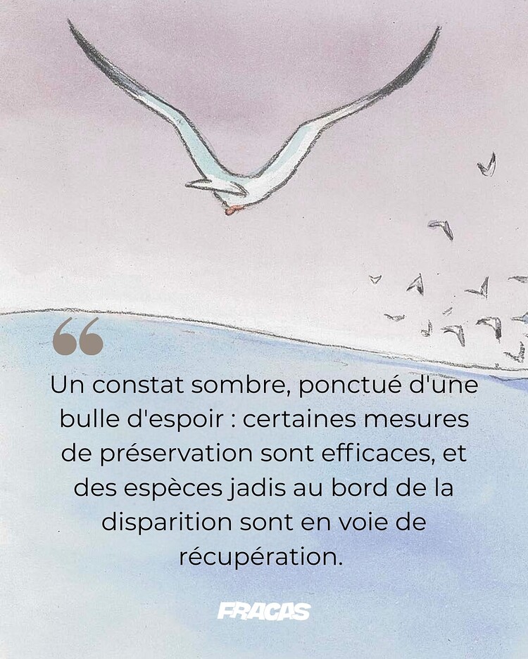 518405648_1142456184569606_4537213682071489242_n