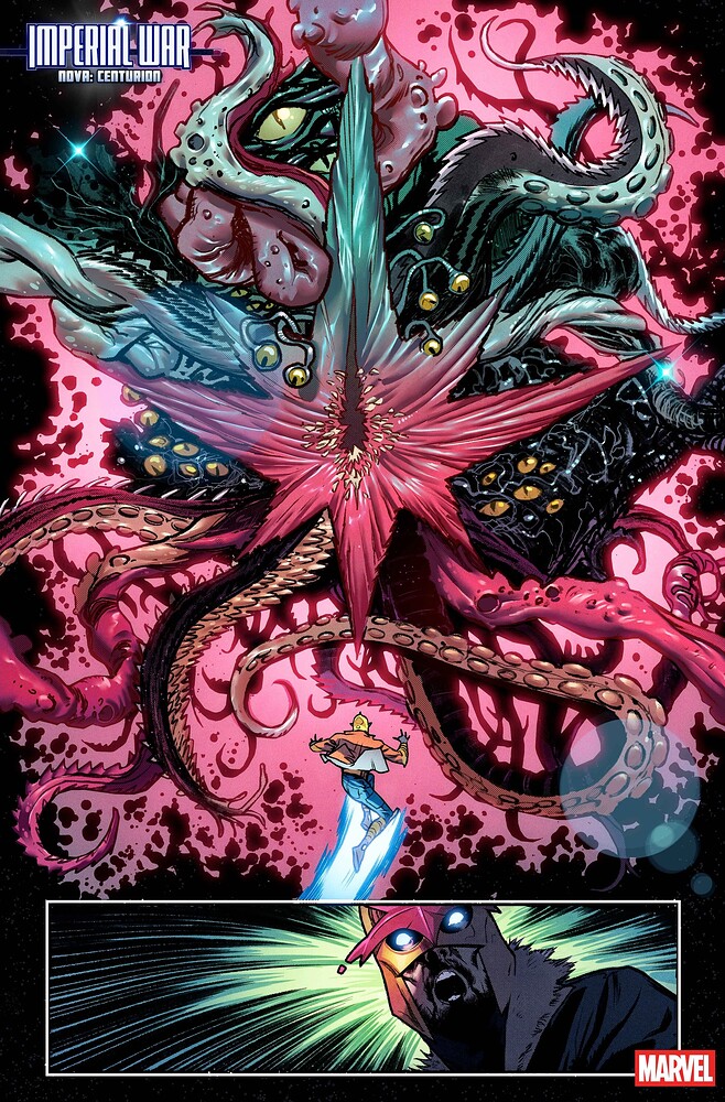 impwarnovacent2025001004_col