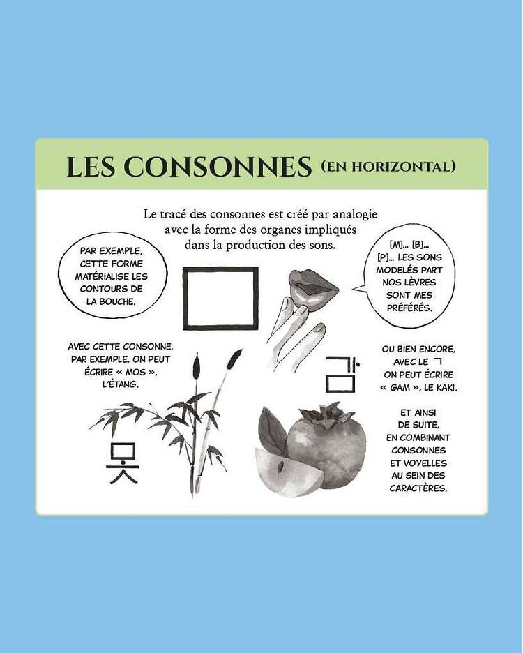 499733348_1268984325231122_63696215436069960_n