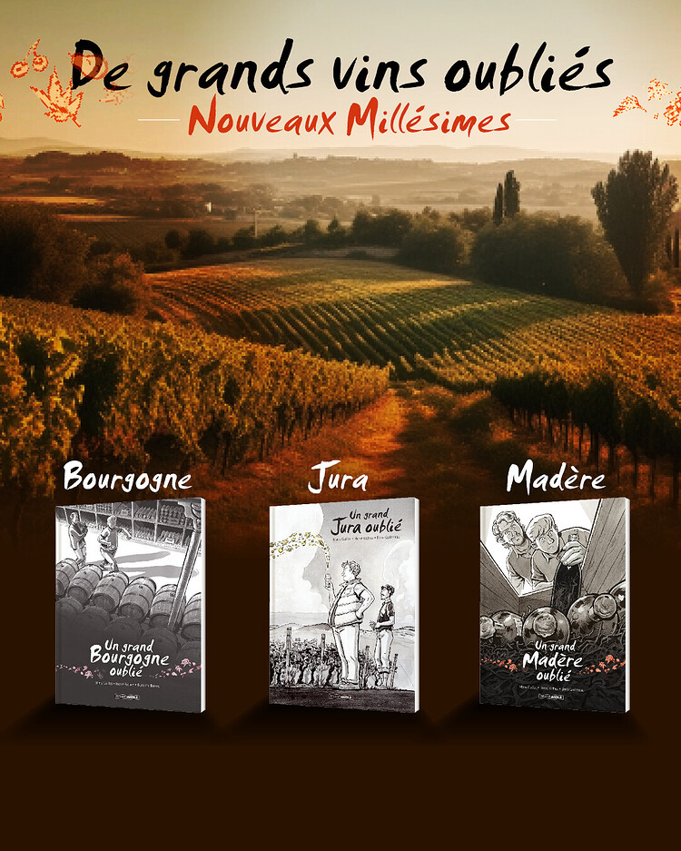 546622703_1357610379700057_7491596432667206710_n