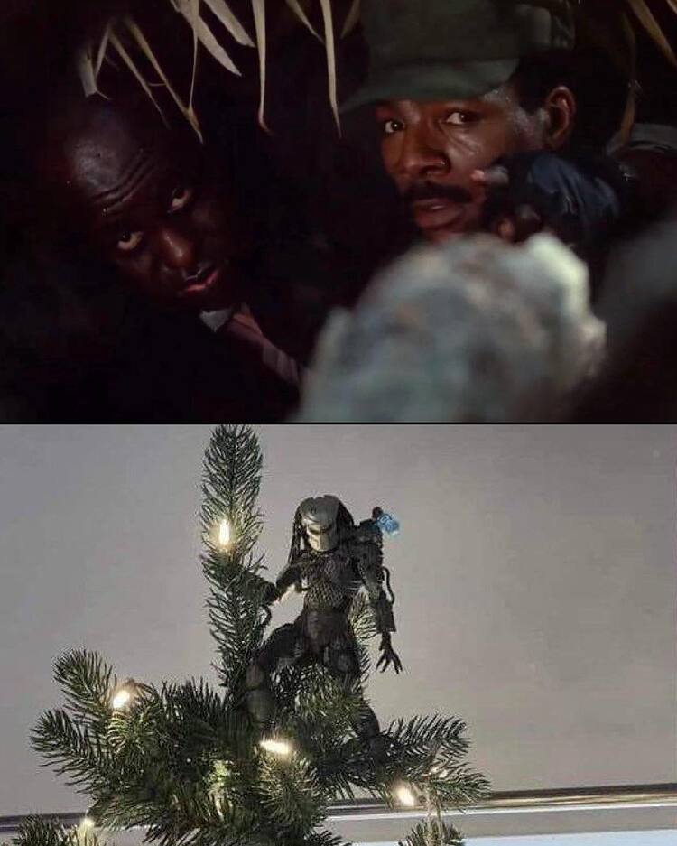 600921201_1279428524211479_6175552812379747080_n