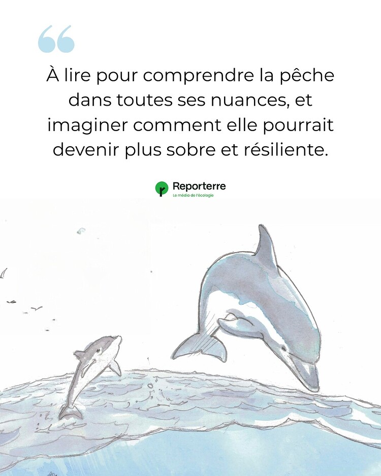 518416451_1142456151236276_8215573802430601735_n