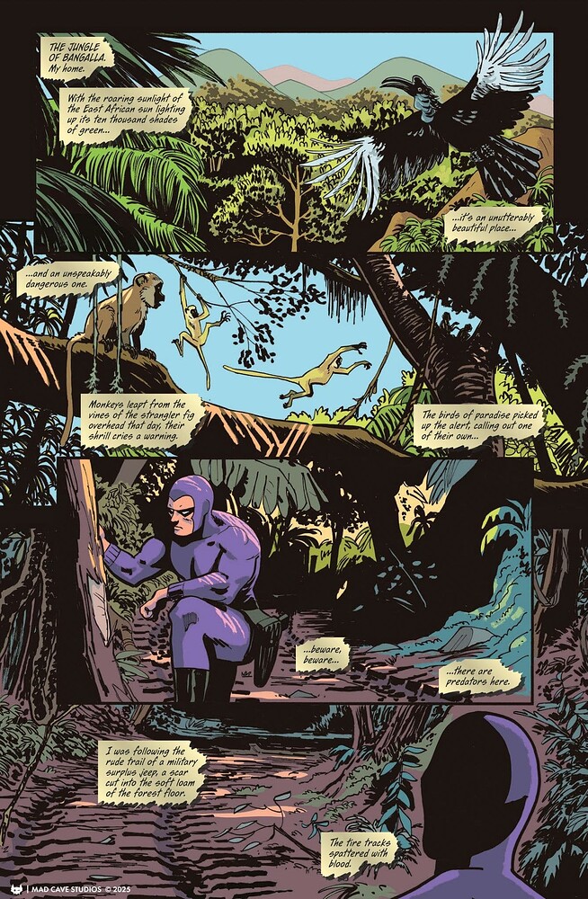 MCS_The-Phantom-0-FCBD_Digital_HUB-Page-4