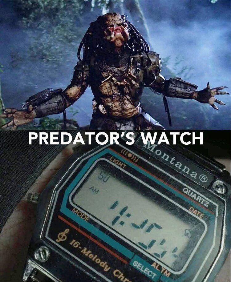 559042464_1309434247894829_6709831279379480048_n