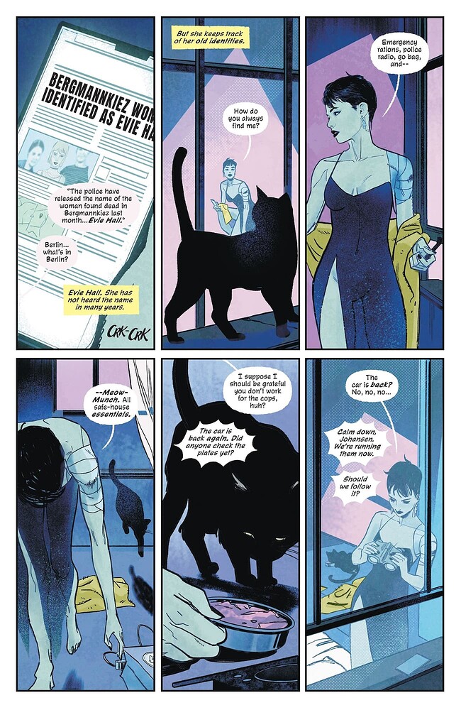 c0069_catwoman_page102