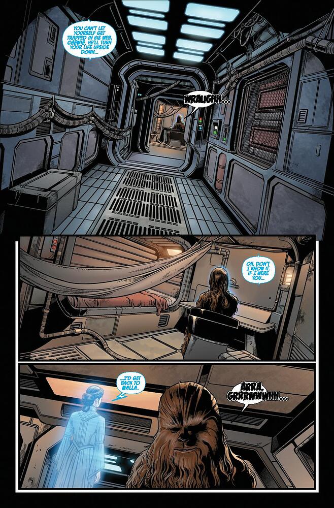 STWHUNTFALCON2025002_Preview-page-003