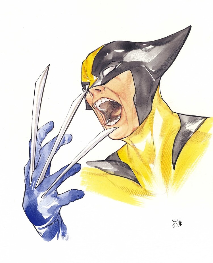 WOLVERINE 14 VARIANT COVER