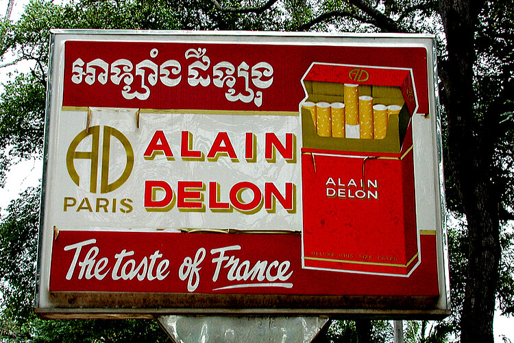 456089108_8292100390846415_1194748398220723027_n