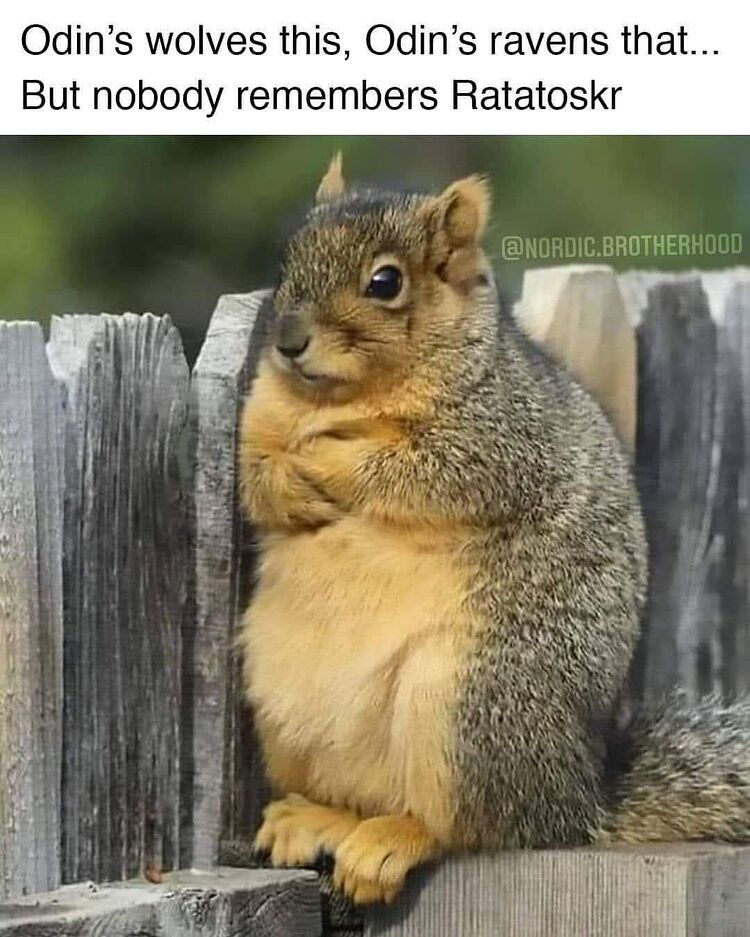 622204221_122163112316746756_1807241755000316944_n