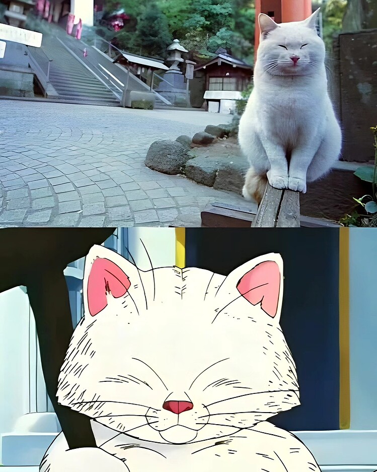 469892127_7911904138912457_1468982578330542562_n