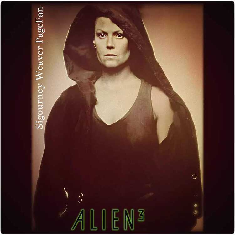 367987624_708530557953156_5597883631788178579_n