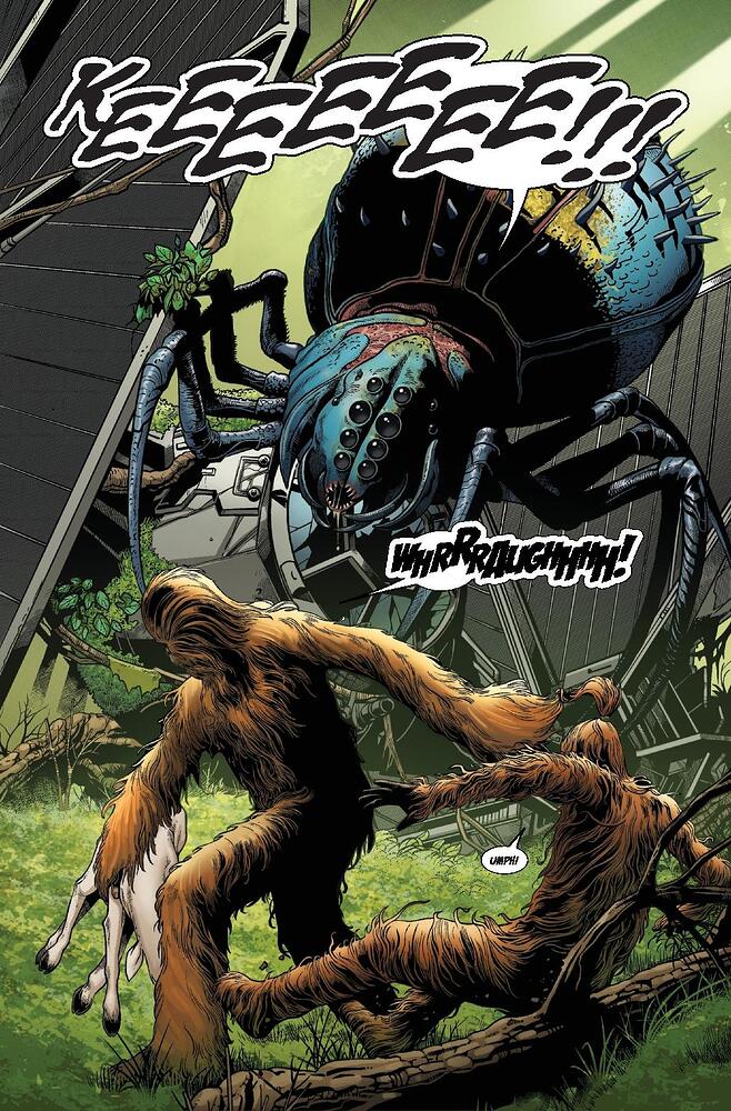 STWHUNTFALCON2025001_Preview-page-004