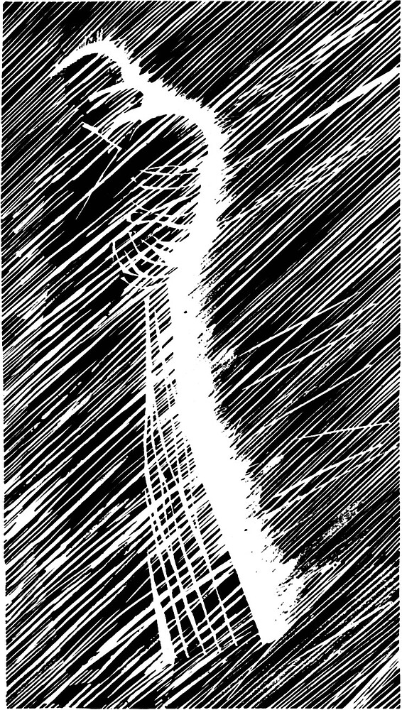 tumblr_mbdm12Te3D1qimek4o1_1280