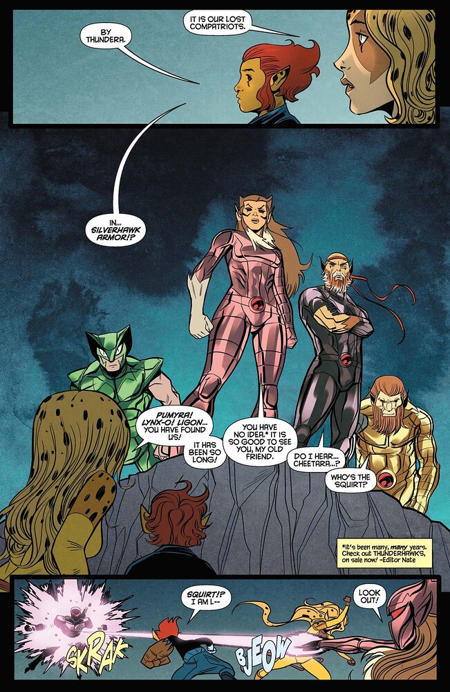Thundercats-X-Silverhawks-05_Page_01-scaled