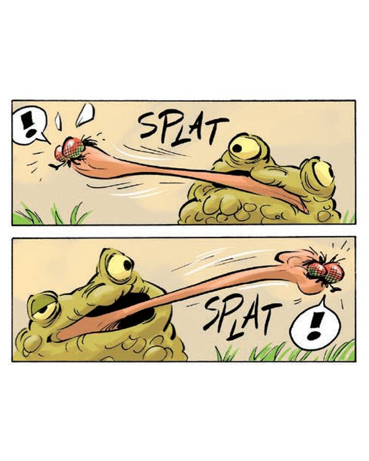 638113586_1502929551839464_2261017946605078329_n