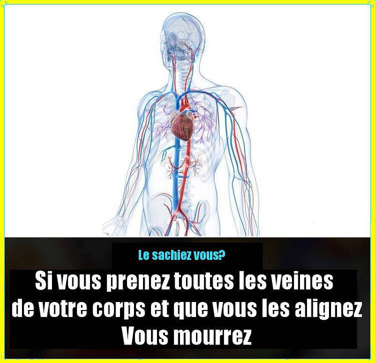 619835068_1297814322372657_1133436141739979056_n