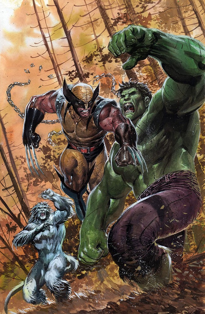 WOLVERINE VS HULK