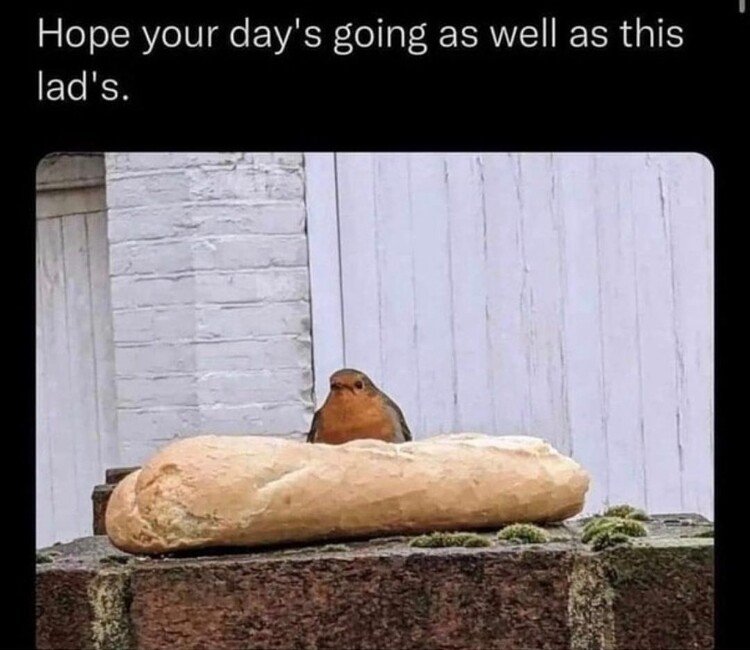 612270207_1188506603390791_4368686743833791764_n