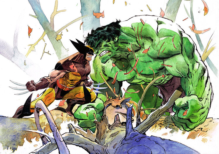 WOLVERINE AND HULK