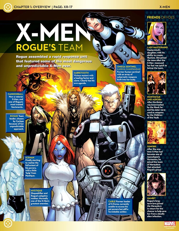 34 Rogue's Team