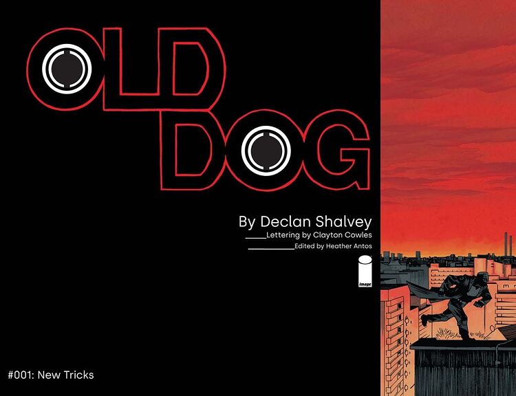 old-dog-22