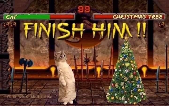 finish-him-cat-vs-christmas-tree-meme