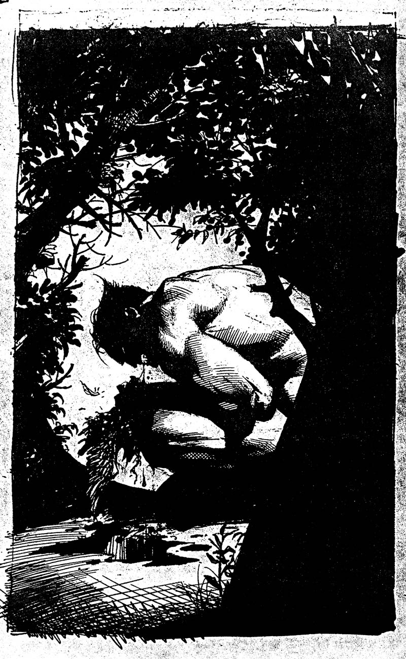 wolverine-back-cover-sketch