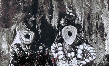 Attack-of-the-Giant-Leeches-Still-1