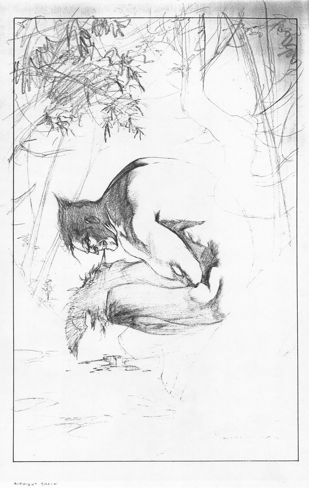 wolverine-back-cover-pencils