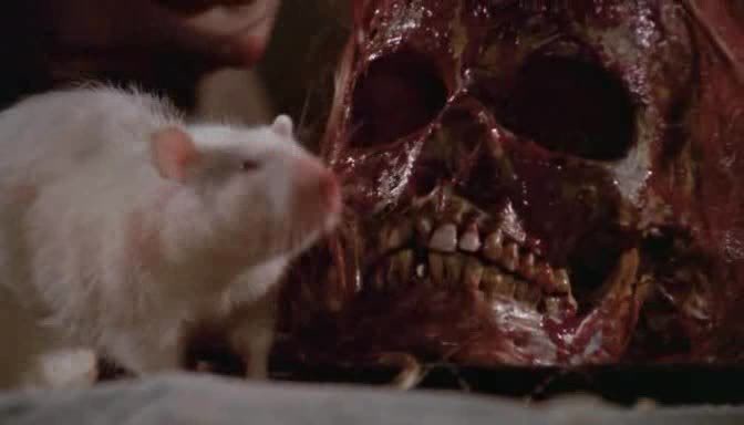 visnightoffear2