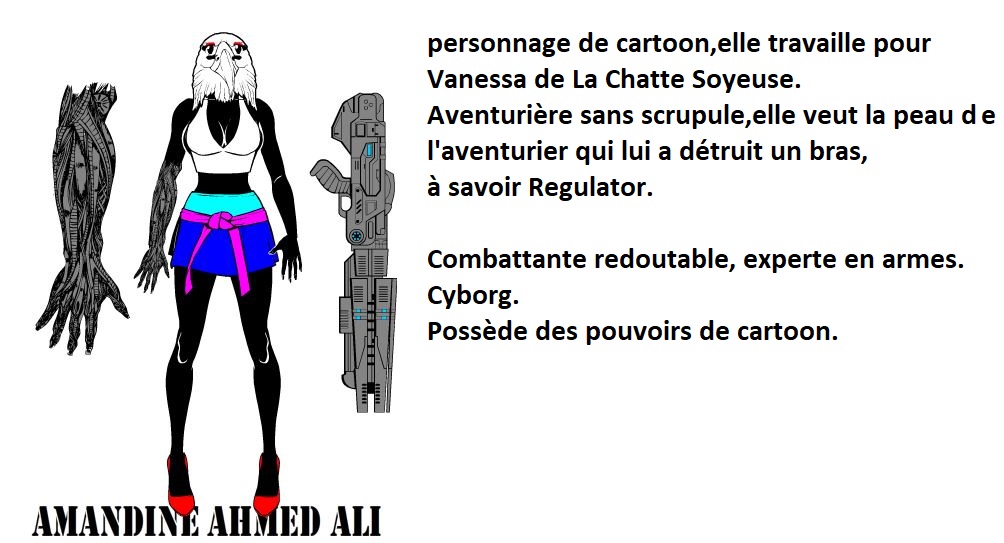 12)Amandine Ahmed Ali 5 - texte